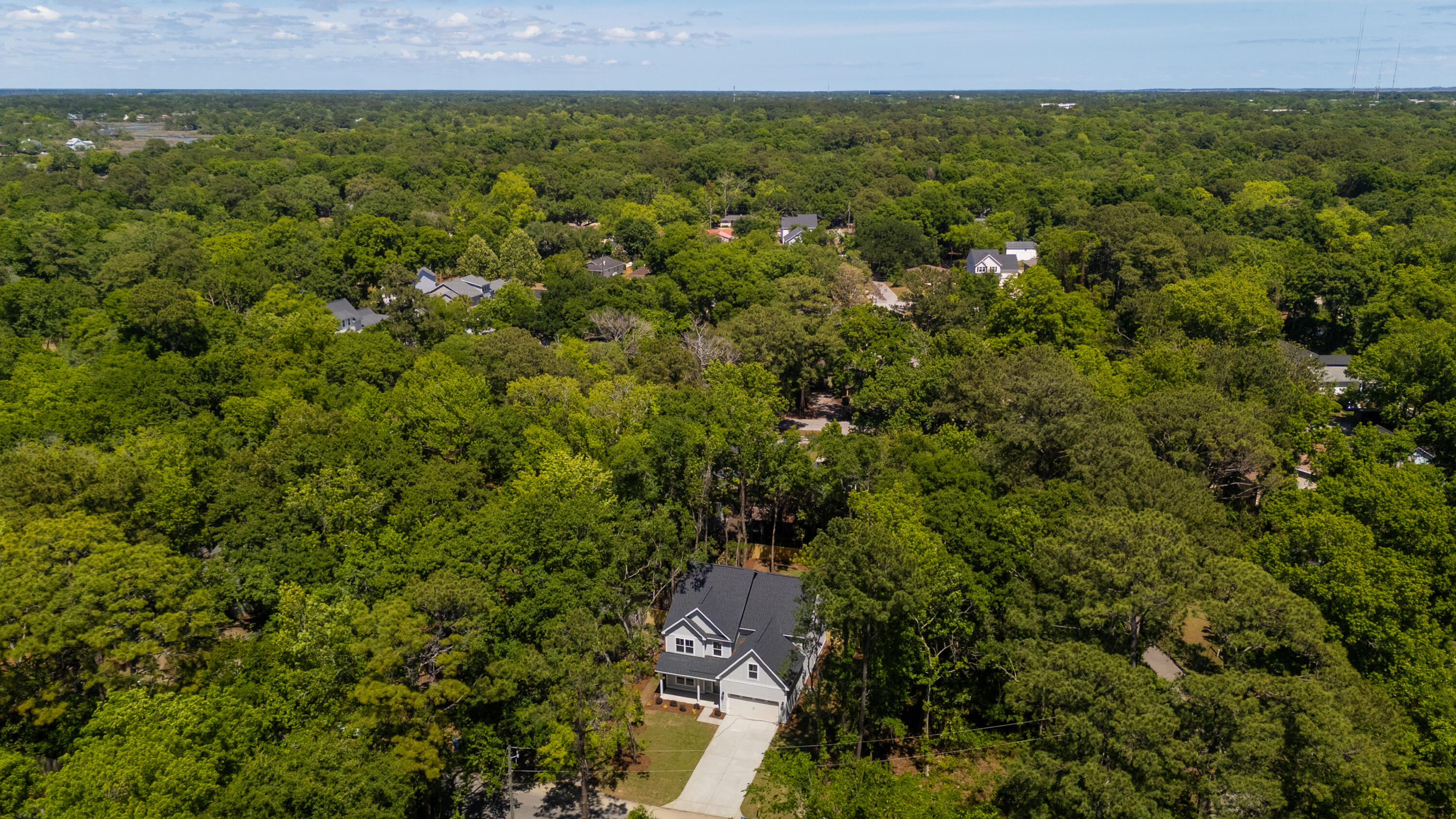 696 Eagle Street Mount Pleasant, SC 29464 - Photo 54 of 56 696BaldEagleSt-KeenEyeMarketing-088