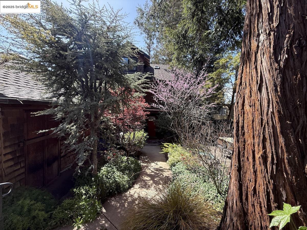 Domingo Avenue Berkeley, CA 94705 - Photo 12 of 43