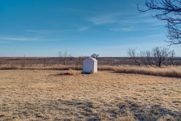 a closeup of a plant