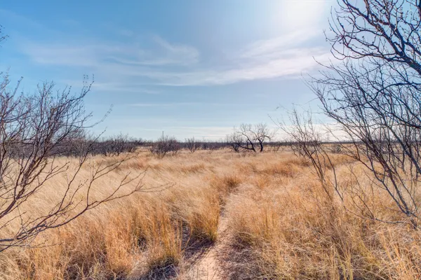a view of pool and ocean