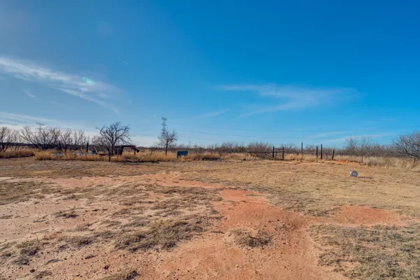 a view of a dry yard with trees