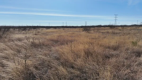 a view of a bunch of trees in a field