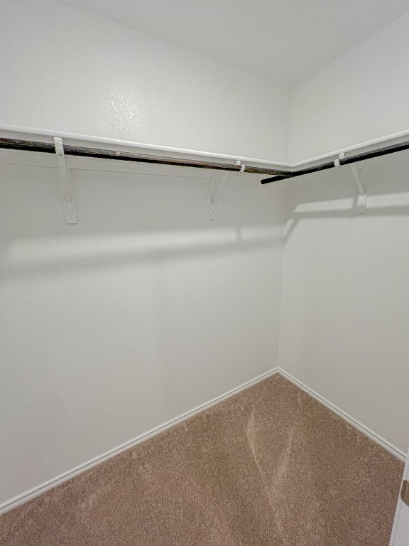 129 Hellcats Way Jarrell, TX 76537 - Photo 15 of 19 Walk in closet featuring carpet flooring