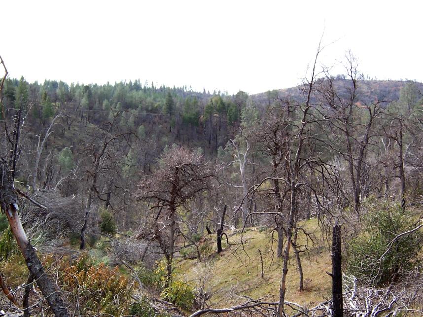 69-ac 69-ac Backbone Ridge Road Bella Vista, CA 96008 - Photo 13 of 13 more of parcels
