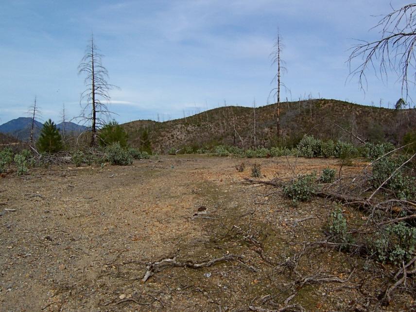 69-ac 69-ac Backbone Ridge Road Bella Vista, CA 96008 - Photo 4 of 13 Lower Bldg Pad