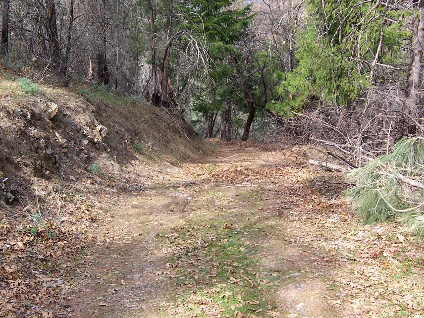69-ac 69-ac Backbone Ridge Road Bella Vista, CA 96008 - Photo 5 of 13 Driveway to lower pad