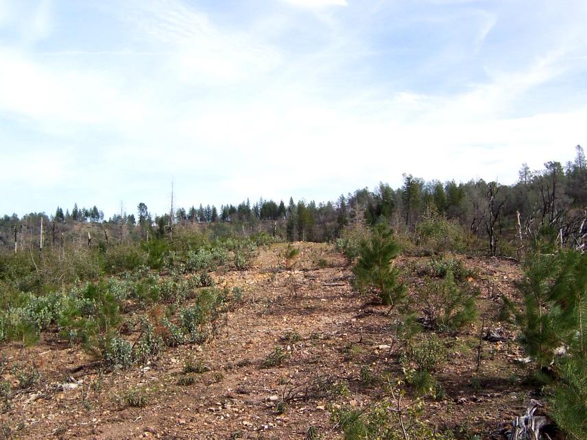 69-ac 69-ac Backbone Ridge Road Bella Vista, CA 96008 - Photo 6 of 13 Knolltop w/ Awesome views