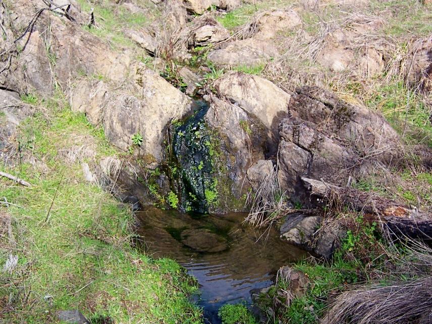 69-ac 69-ac Backbone Ridge Road Bella Vista, CA 96008 - Photo 8 of 13 small pool from seasonal creek
