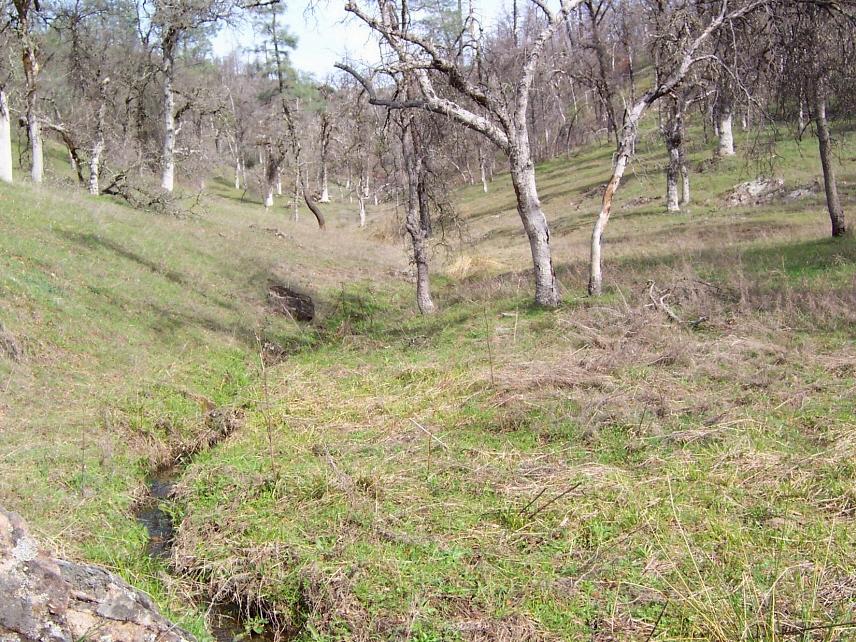 69-ac 69-ac Backbone Ridge Road Bella Vista, CA 96008 - Photo 9 of 13 Seasonal creek