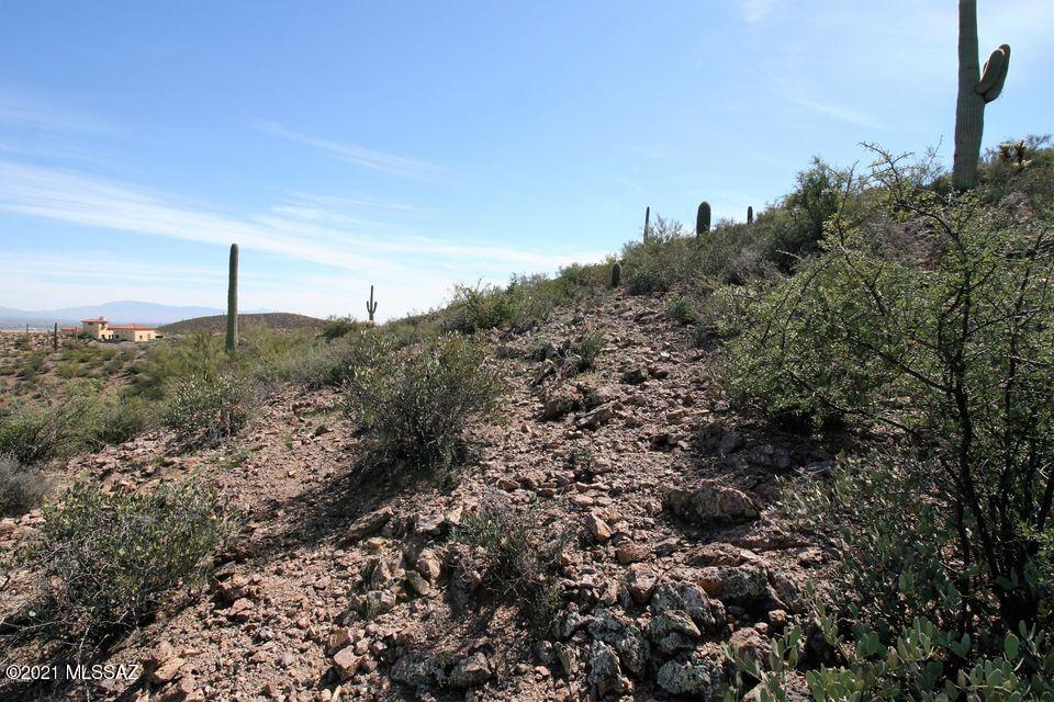 6.85 West Sunset Road Tucson, AZ 85745 - Photo 6 of 9 Gallery Image 6