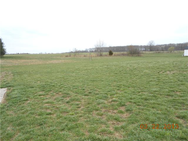 1774 Jacobs Pillar Road Smithville, TN 37166 - Photo 3 of 16 Back Yard