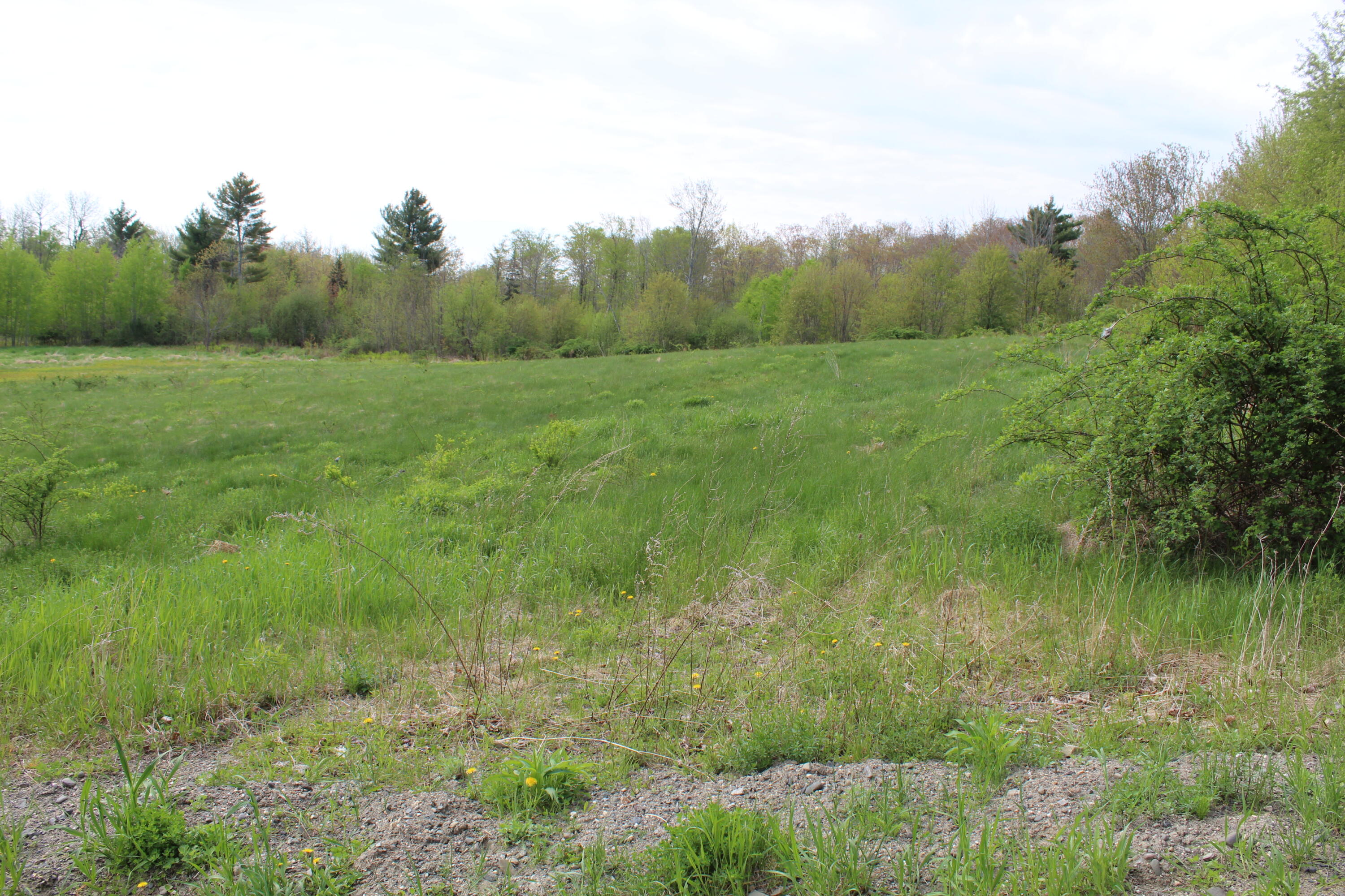 0 Skyscraper Hill Road Brooks, ME 04921 - Photo 5 of 5 IMG_1749