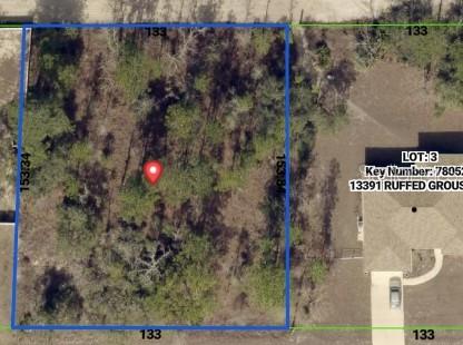 0 Ruffed Grouse Road Weeki Wachee, FL 34614 - Photo 4 of 5