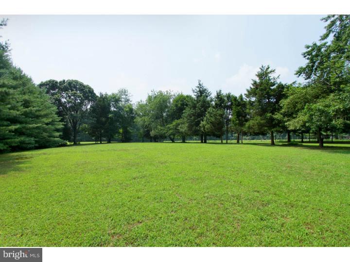155 Cedar Grove Road Mullica Hill, NJ 08062 - Photo 18 of 20 Back Yard