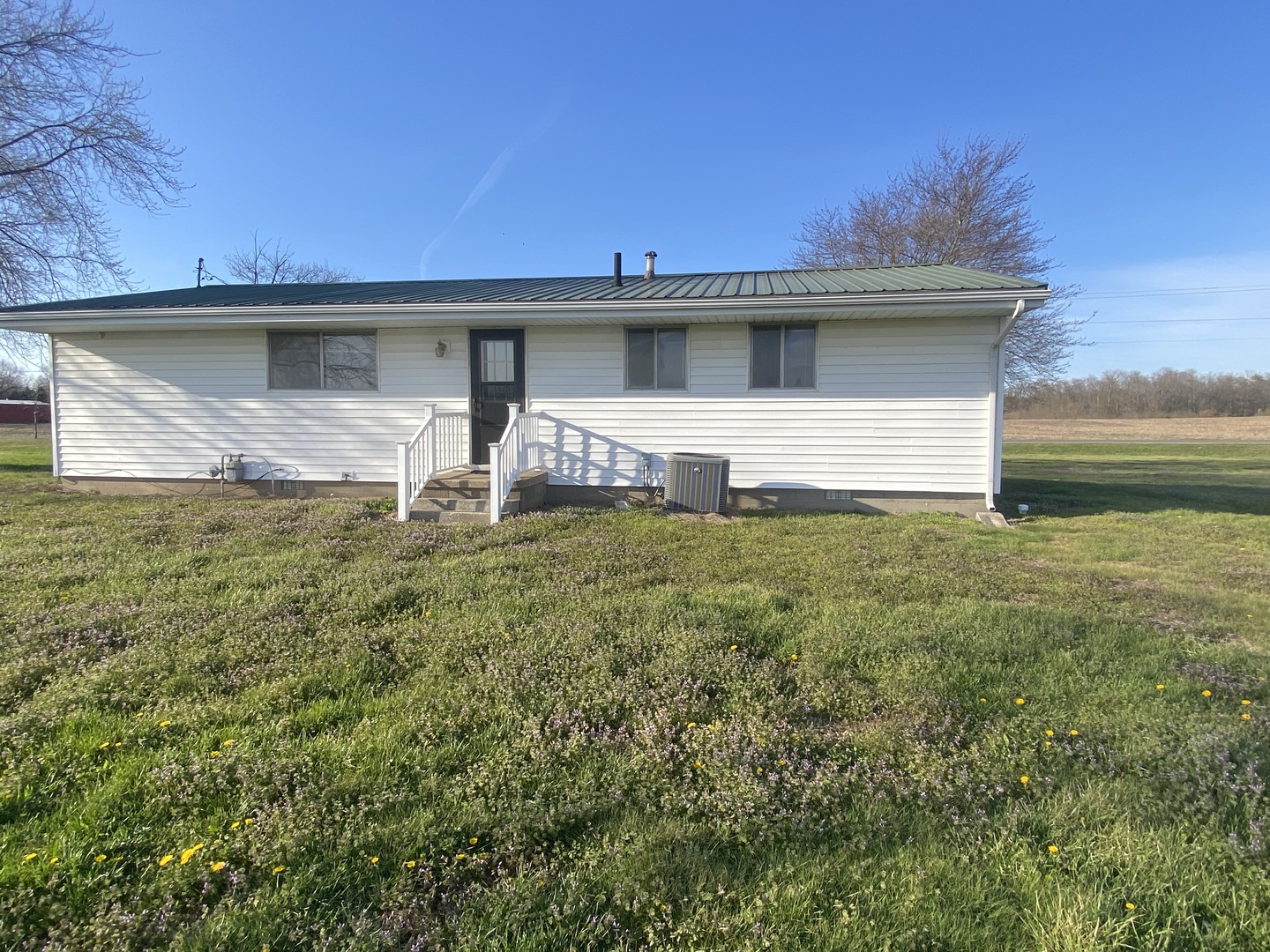 8562 East Park Street Road Du Quoin, IL 62832 - Photo 5 of 17 a front view of house with yard