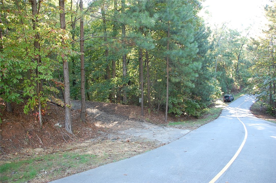 167 South Falls Road Sunset, SC 29685 - Photo 3 of 4