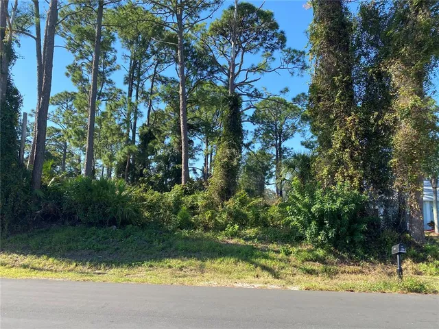 a view of swimming pool with a yard