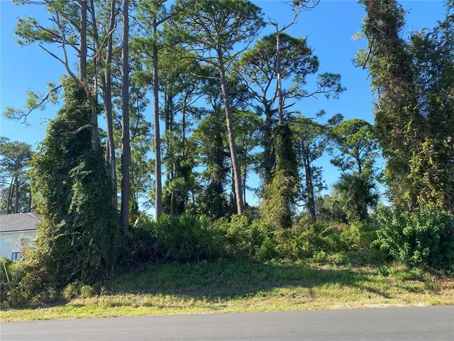 a view of a yard with large trees