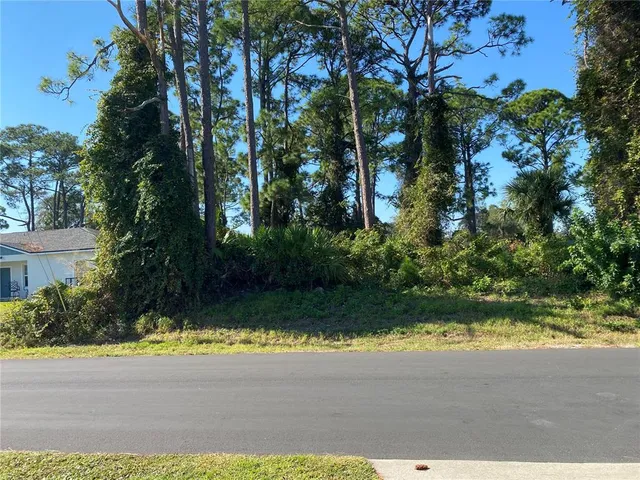 a view of backyard with swimming pool