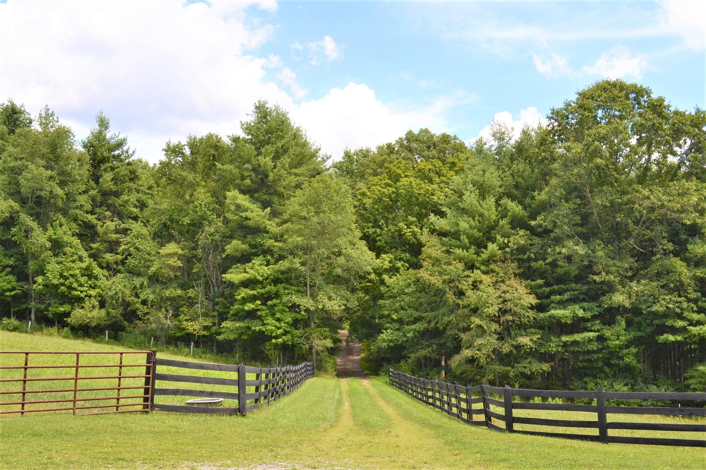 248 Somerset Farm Road Meadow Bridge, WV 25976 - Photo 52 of 98 Gallery Image 52