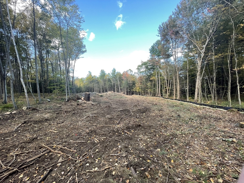 Lot 5 Northside Road Charlton, MA 01507 - Photo 10 of 11 a view of a forest with trees in the background