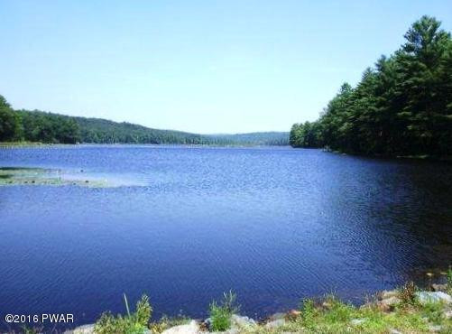 393 Creek Road Hawley, PA 18428 - Photo 5 of 9 Tink Wig Lake 6