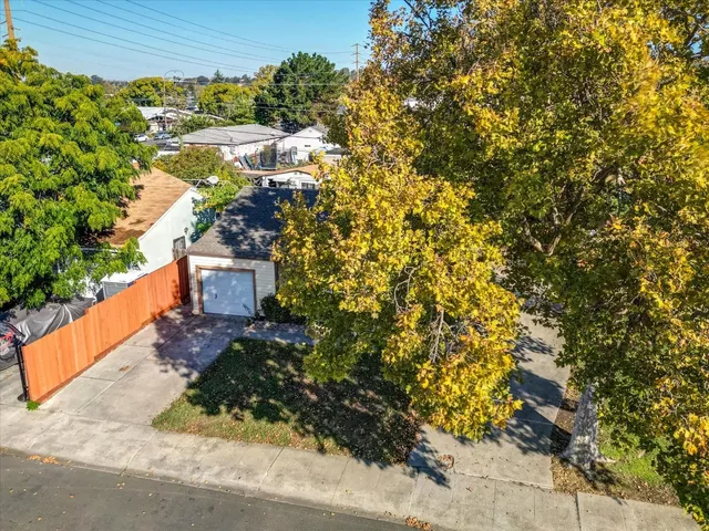 a view of a yard with plants