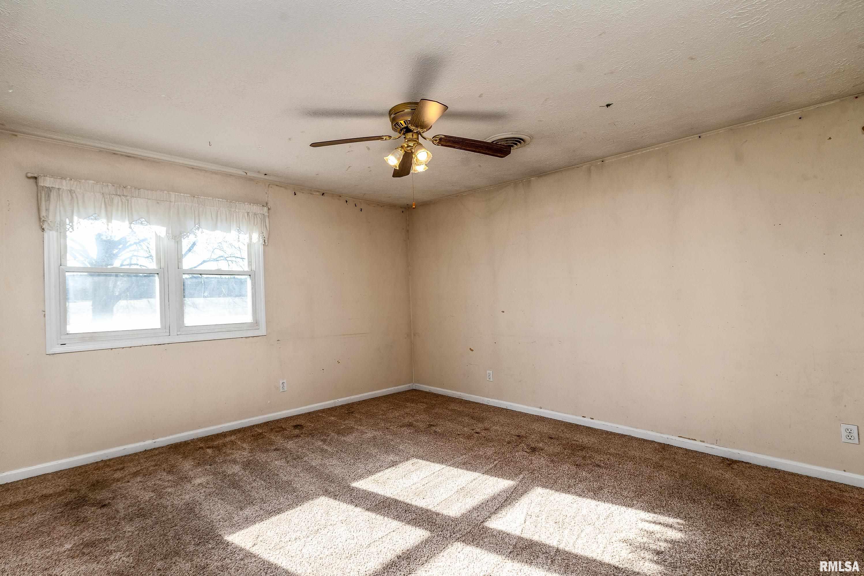 14961 Laminack Road Carterville, IL 62918 - Photo 24 of 47