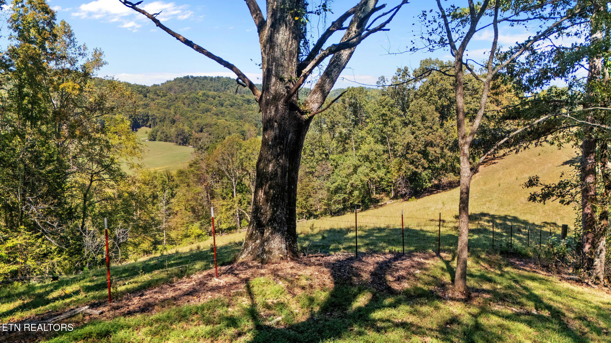 259 Little Tater Valley Road Luttrell, TN 37779 - Photo 3 of 23 dji_20251001143054_0318_d