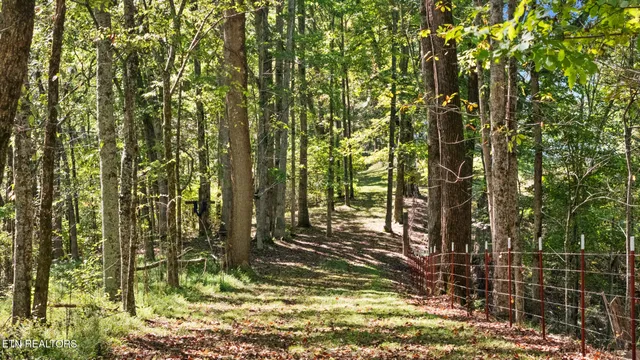 $339,900 | 259 Little Tater Valley Road, Luttrell, TN 37779