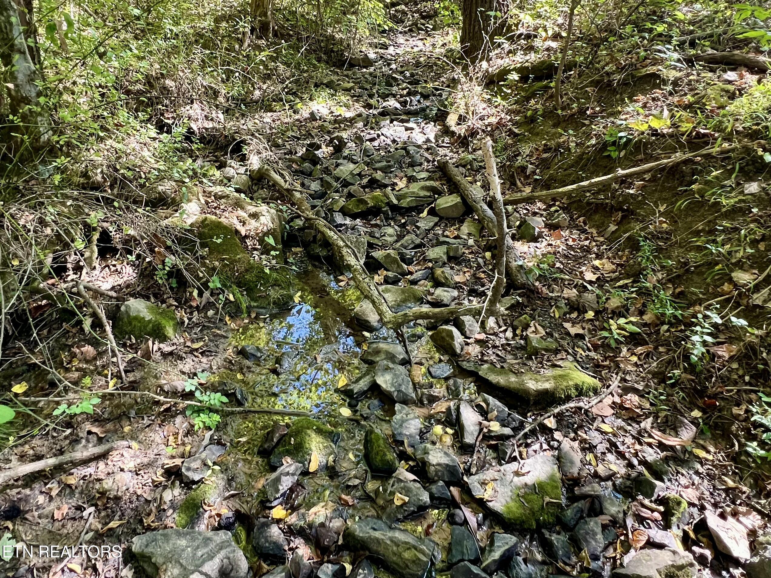 259 Little Tater Valley Road Luttrell, TN 37779 - Photo 7 of 23 IMG_6825