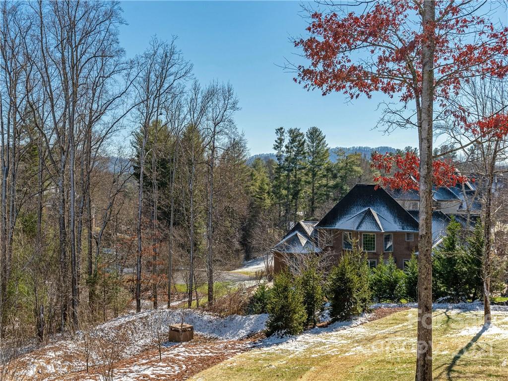11 Jackson Meadow Road, Unit 3 Fletcher, NC 28732 - Photo 9 of 29 Gallery Image 9