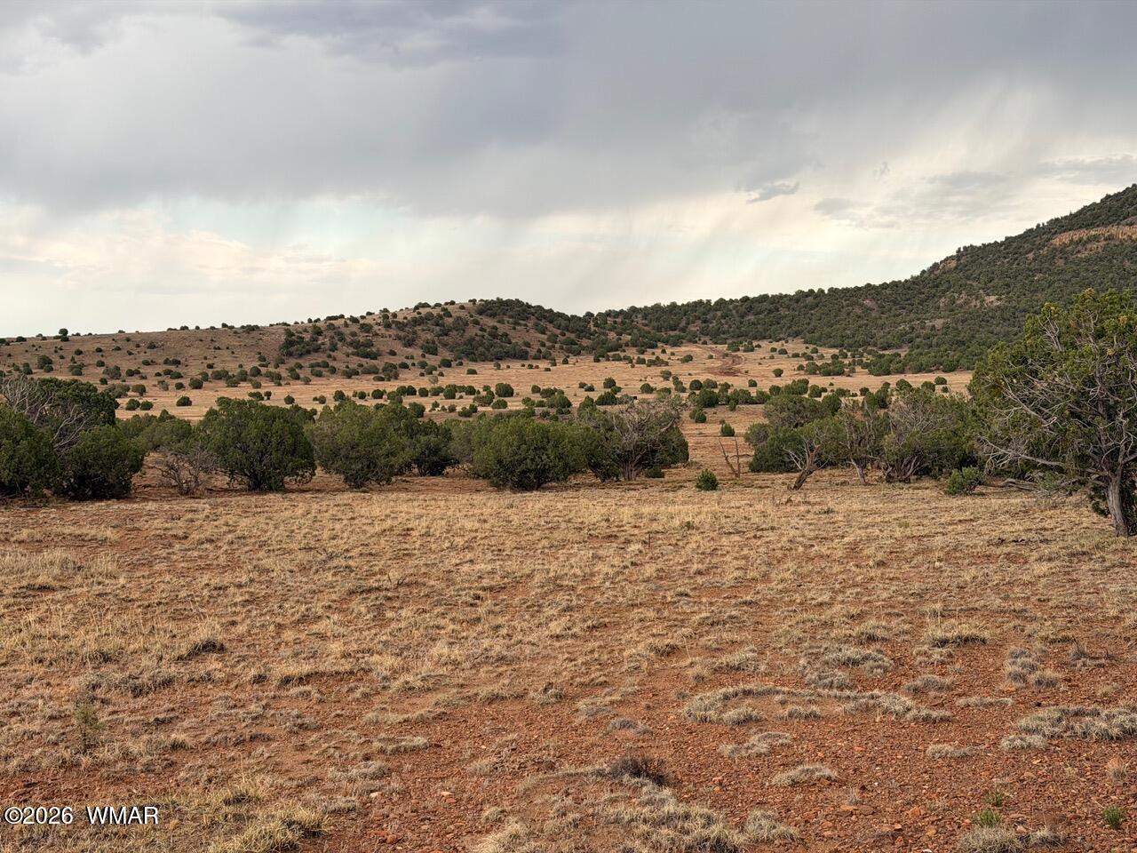 2 N8604 Concho, AZ 85924 - Photo 5 of 24