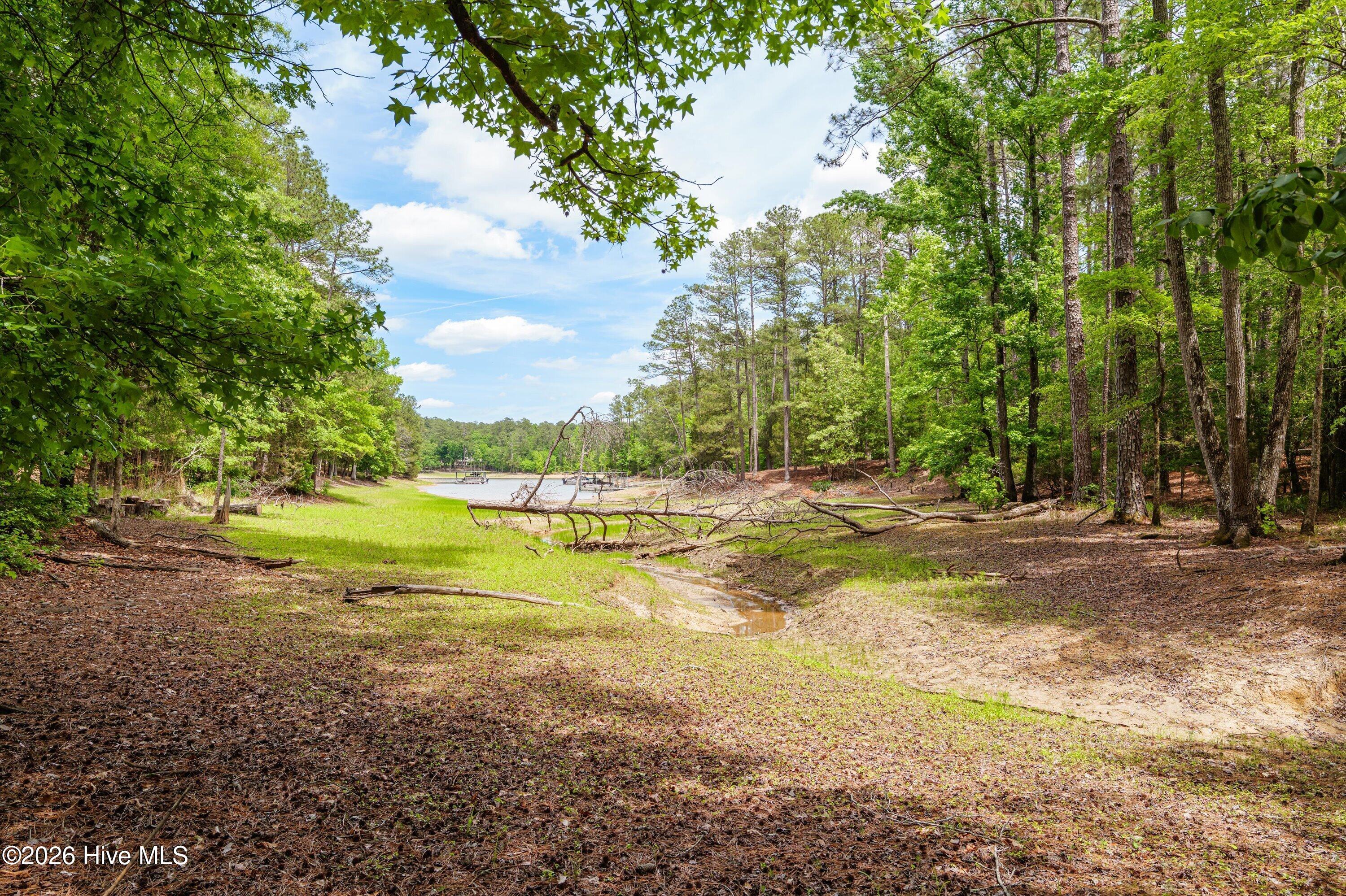 125 Lake Ridge Drive McCormick, SC 29835 - Photo 64 of 84 63-P2099220