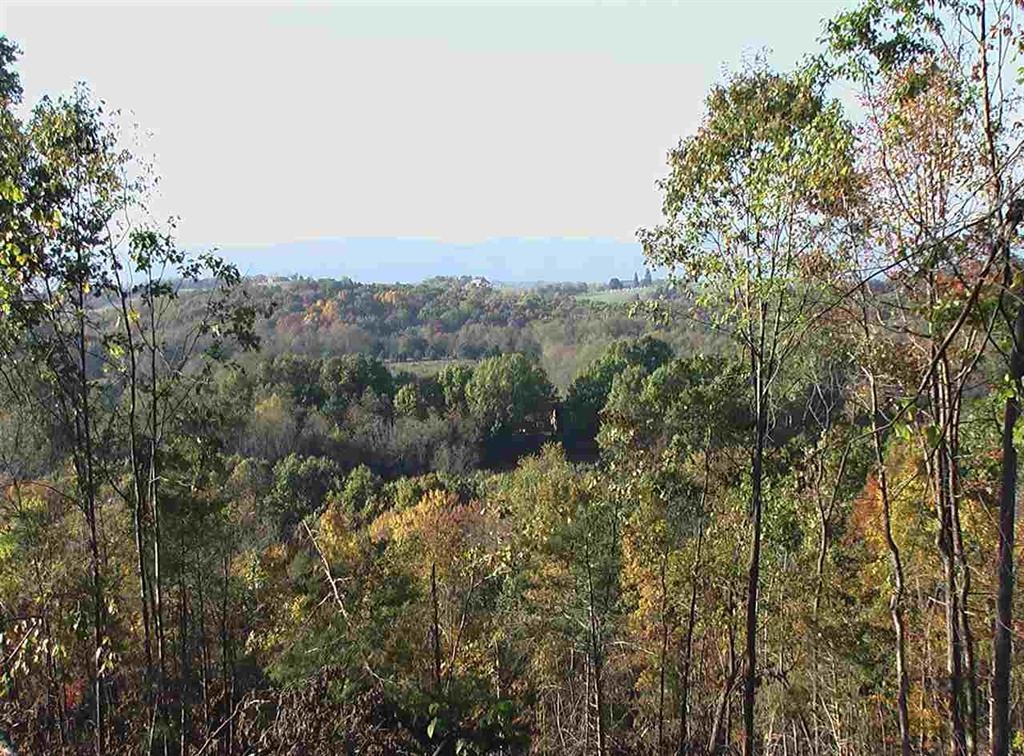 2-crown Ridge Berry Farm Road Verona, VA 24482 - Photo 15 of 23 Gallery Image 15