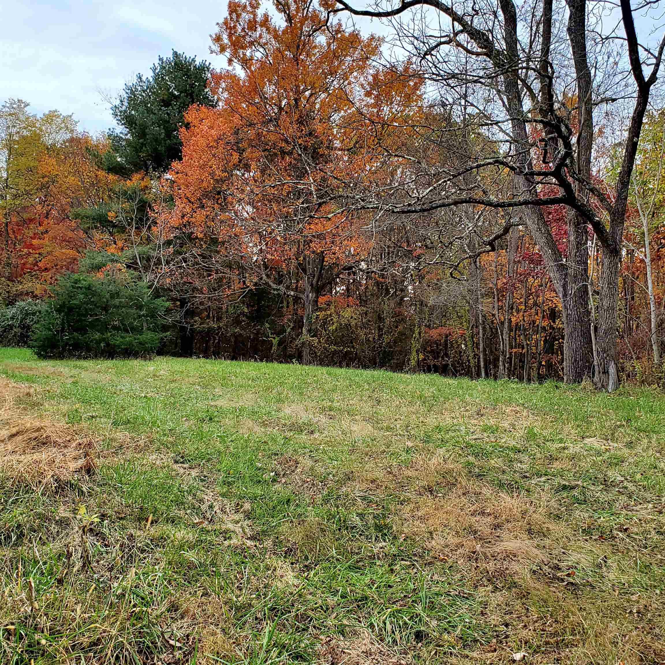 2-crown Ridge Berry Farm Road Verona, VA 24482 - Photo 7 of 23 Gallery Image 7