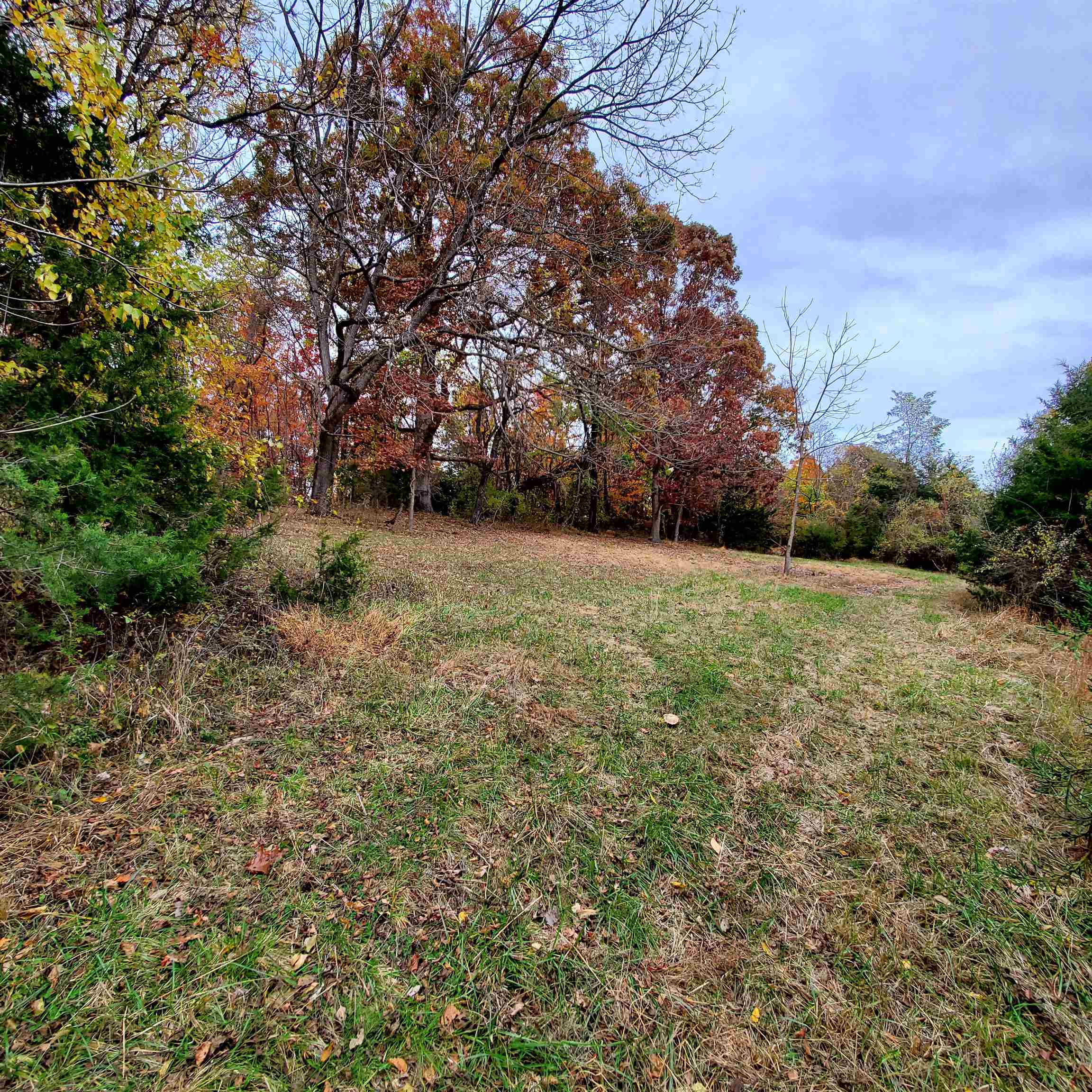 2-crown Ridge Berry Farm Road Verona, VA 24482 - Photo 10 of 23 Gallery Image 10