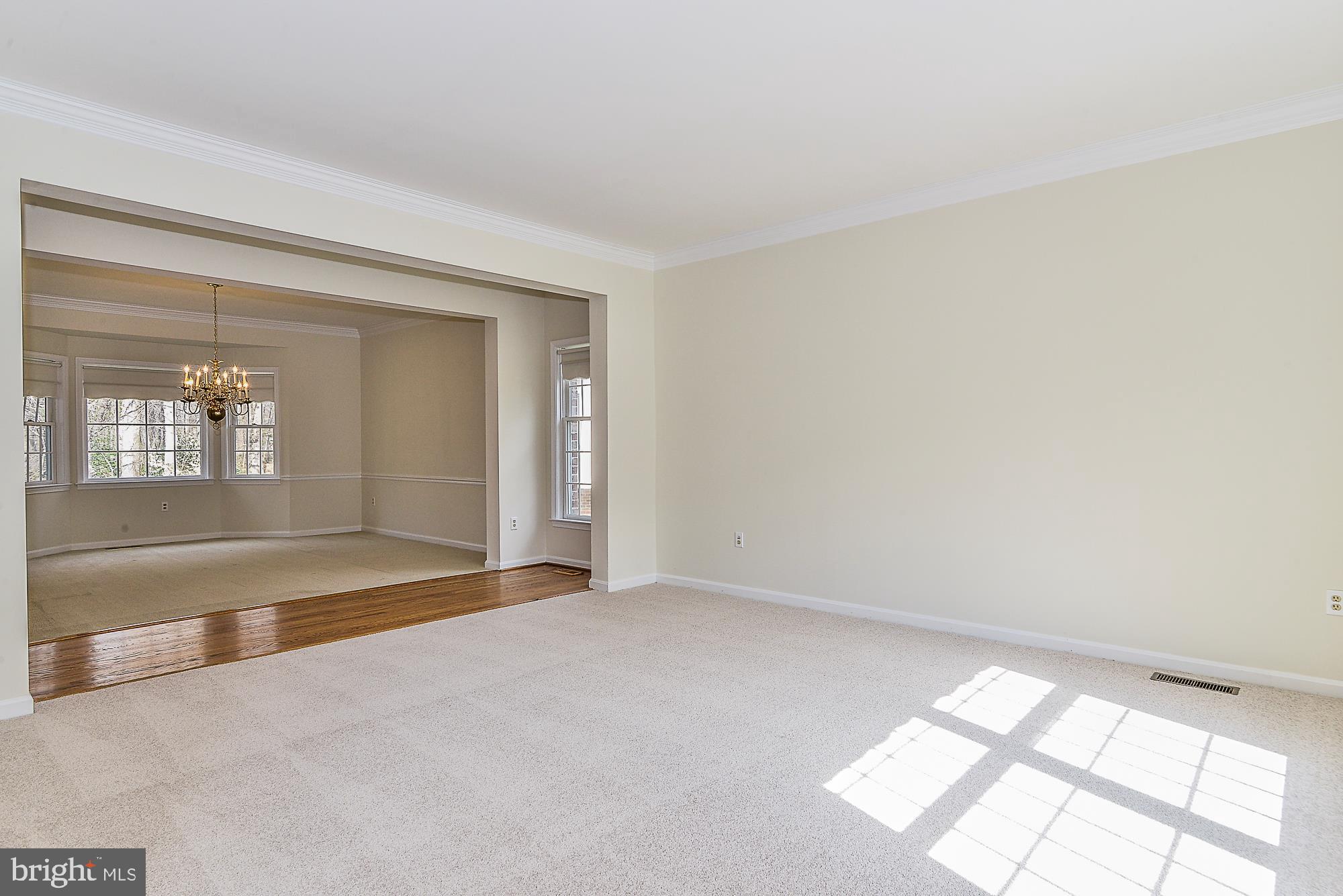 4412 Nuttall Road Fairfax, VA 22032 - Photo 5 of 32 Large living room with new carpet!
