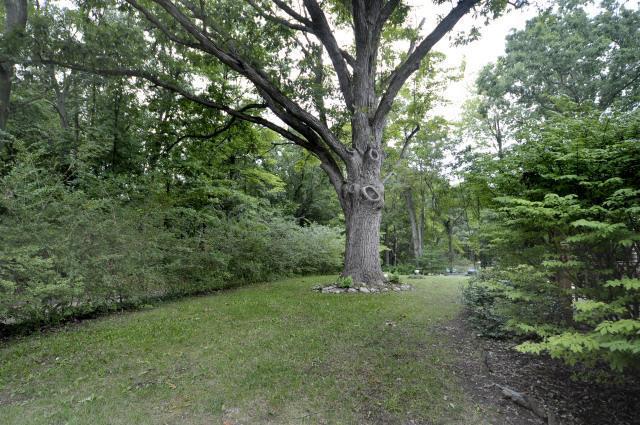 12715 Jones Road Delton, MI 49046 - Photo 23 of 24 Additional Photo