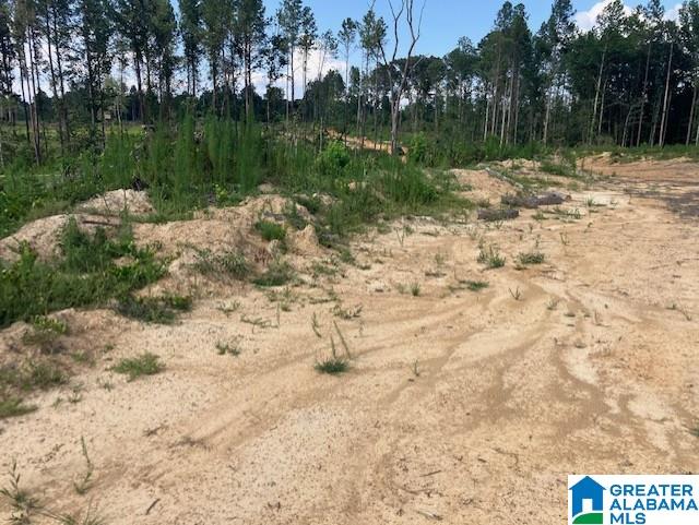 11482 Camp Oliver Road Adger, AL 35006 - Photo 23 of 48