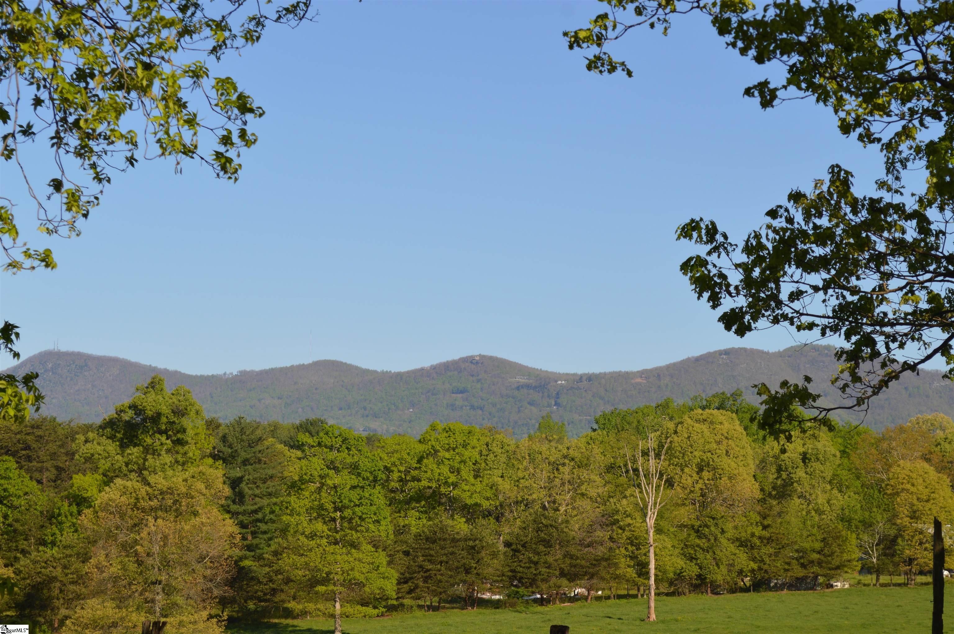 0 Peniel Road Columbus, NC 28722 - Photo 1 of 9 Gallery Image 1