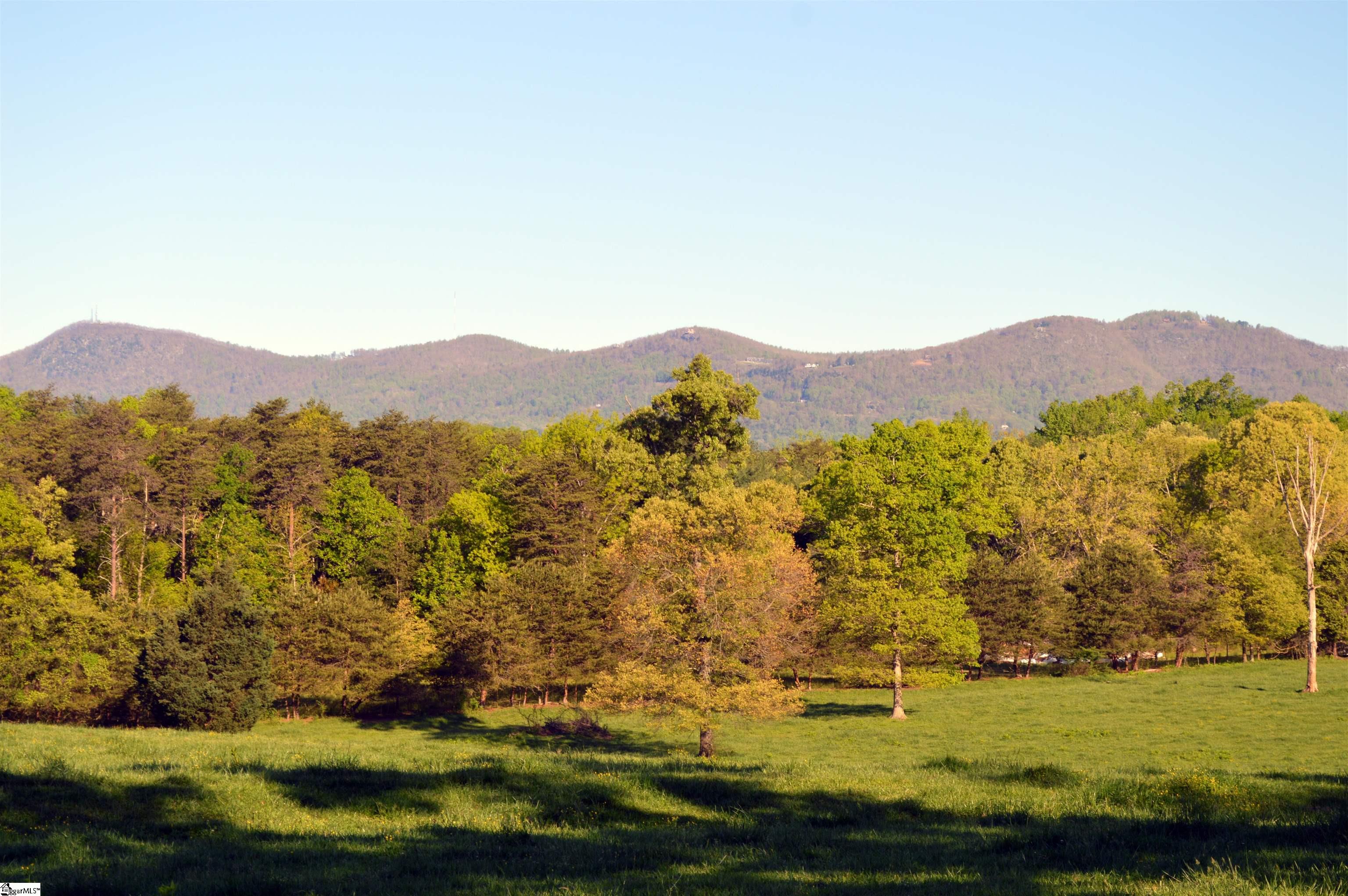 0 Peniel Road Columbus, NC 28722 - Photo 2 of 9 Gallery Image 2