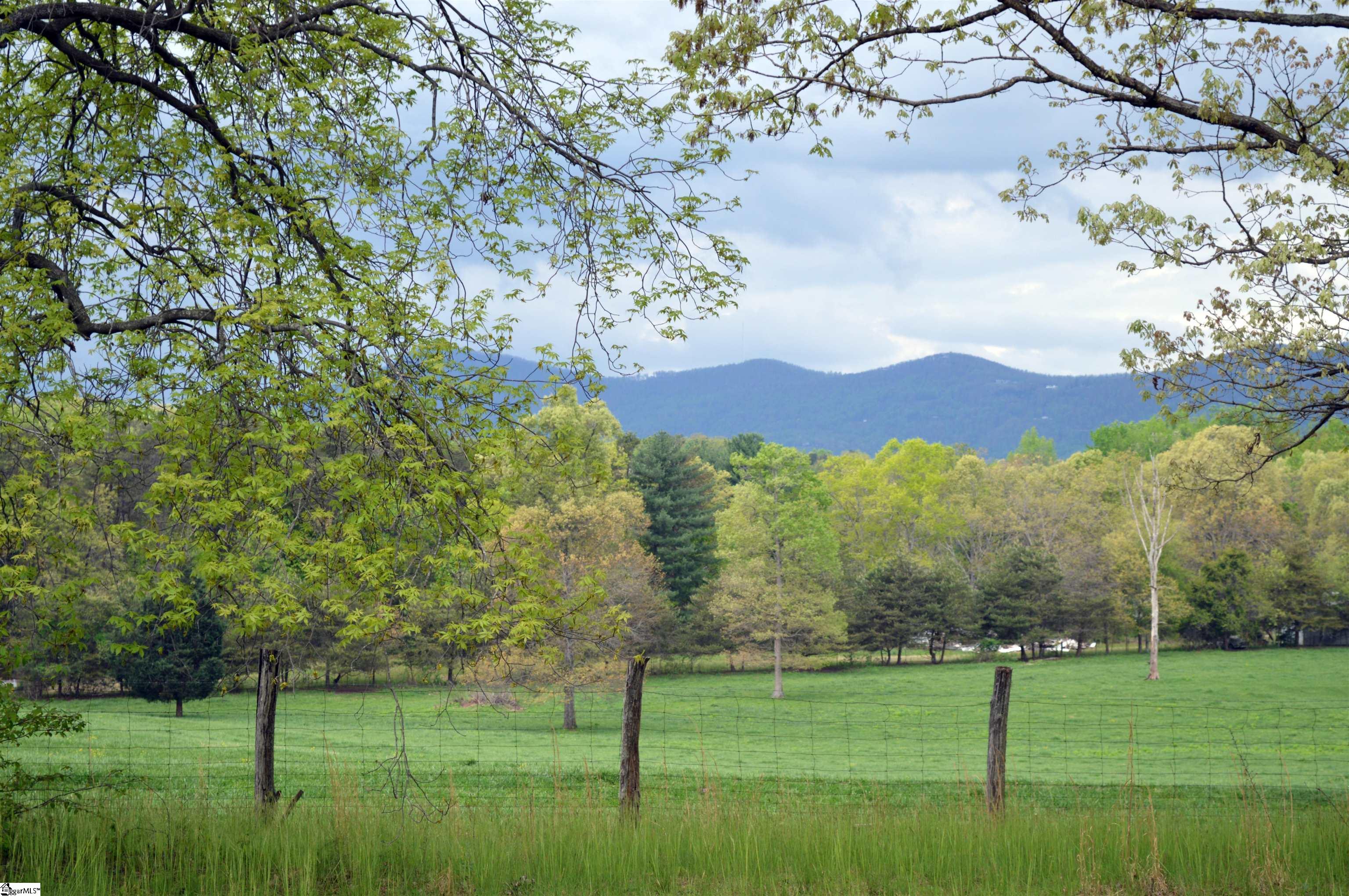 0 Peniel Road Columbus, NC 28722 - Photo 3 of 9 Gallery Image 3