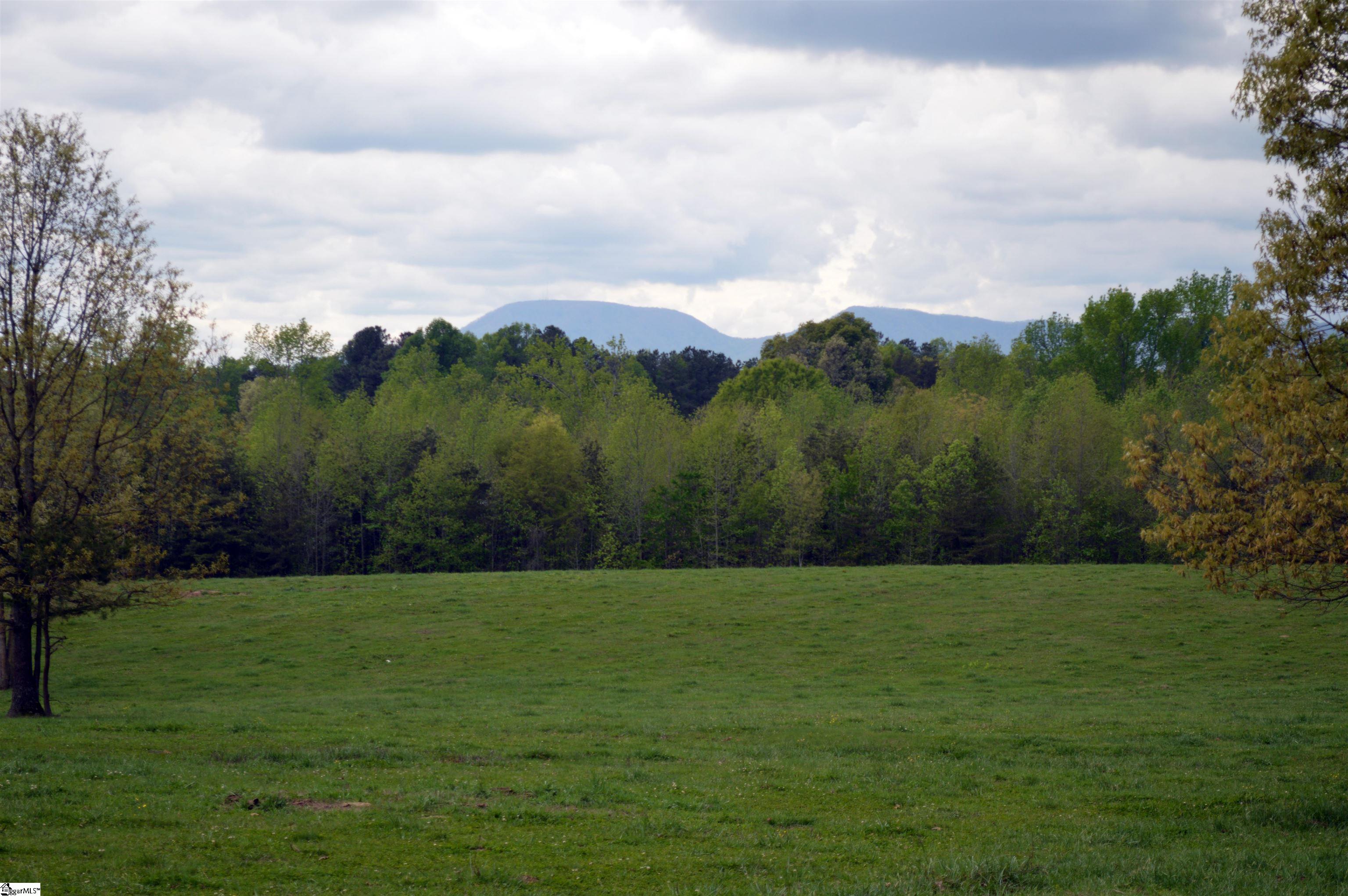 0 Peniel Road Columbus, NC 28722 - Photo 4 of 9 Gallery Image 4