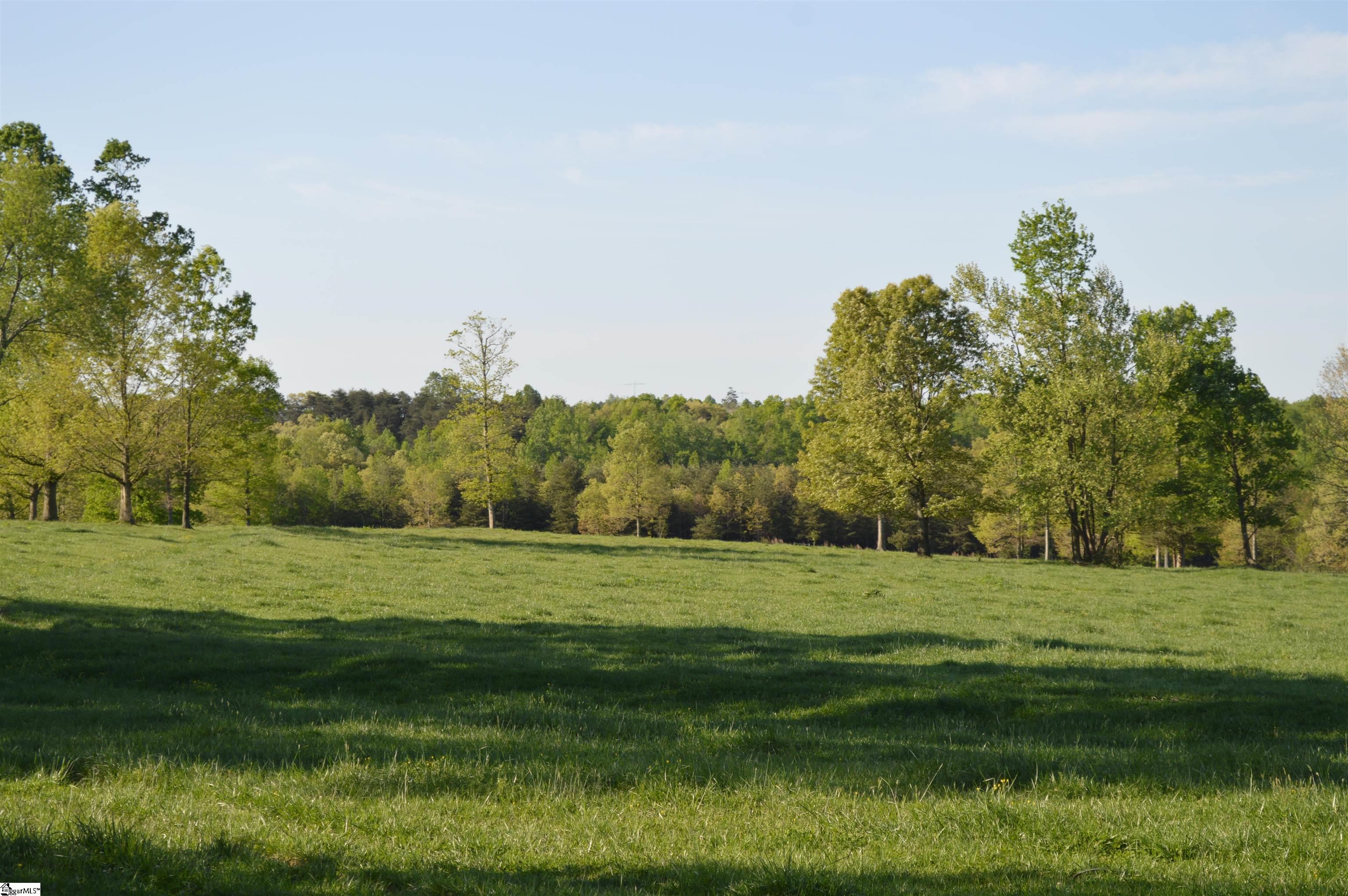 0 Peniel Road Columbus, NC 28722 - Photo 6 of 9 Gallery Image 6
