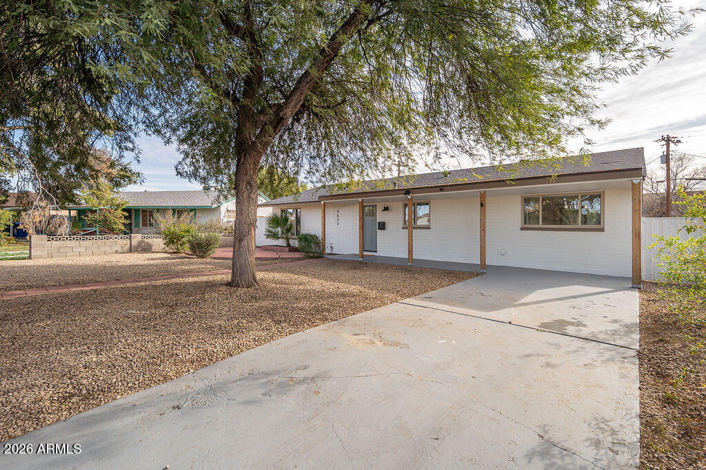 4653 East Almeria Road Phoenix, AZ 85008 - Photo 2 of 18 a view of a house with a yard and large tree