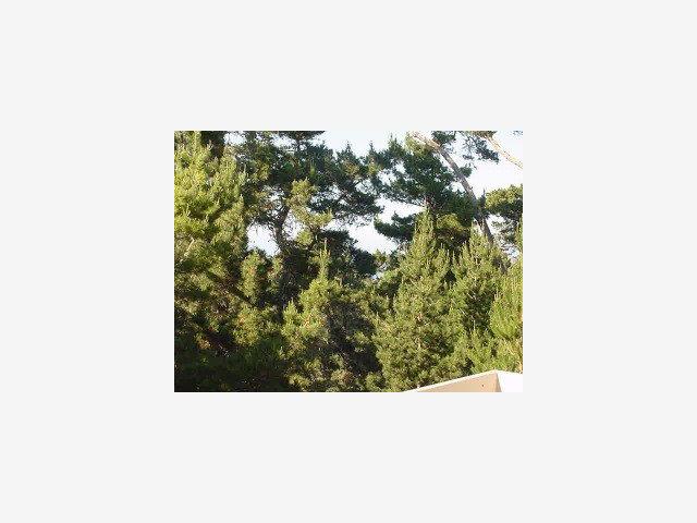 24 Shepherds Knoll Road, Unit 24 Monterey, CA 93940 - Photo 6 of 9