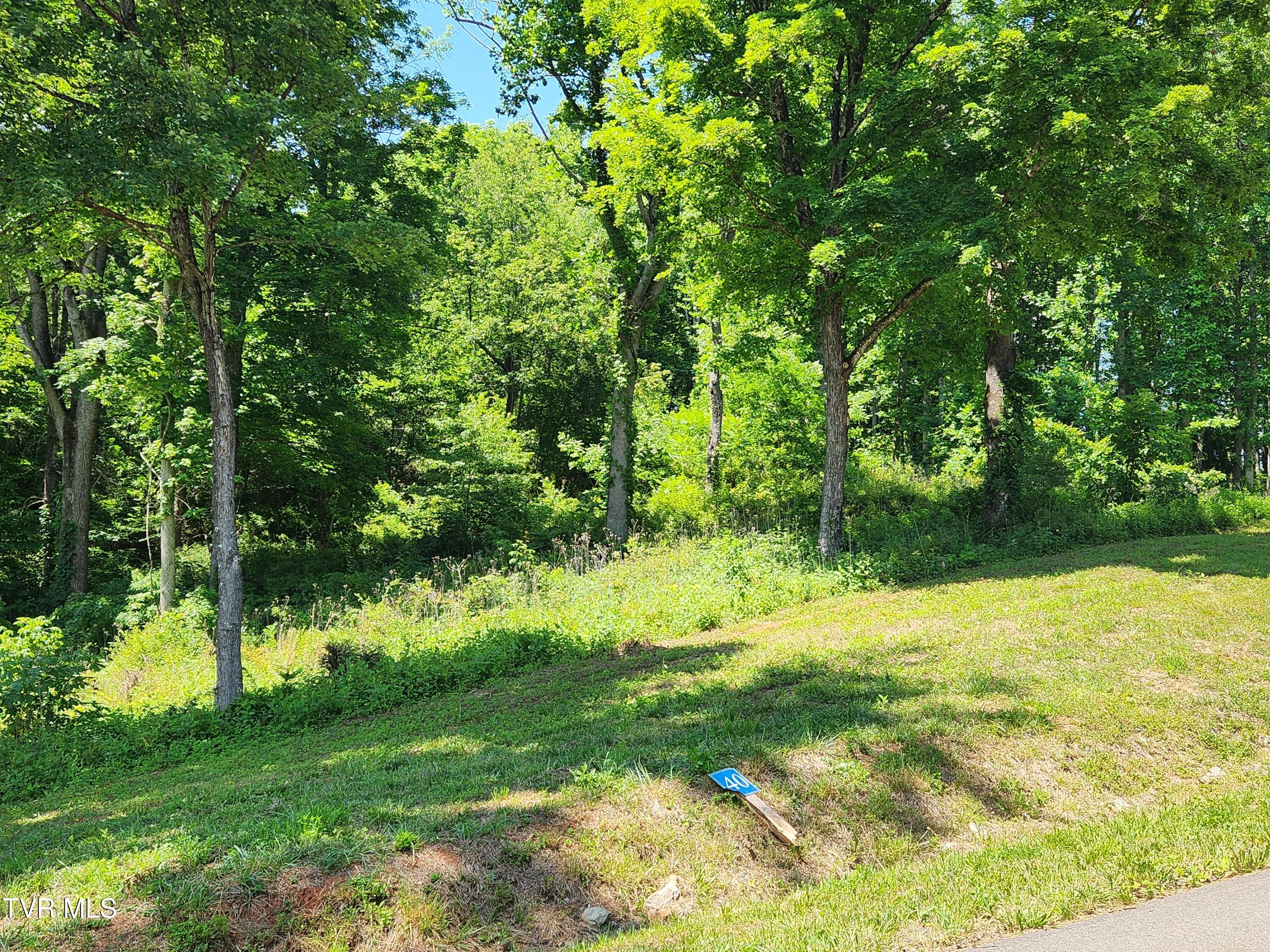 Lot 40 Cowan Town Road, Unit 40 Butler, TN 37640 - Photo 83 of 117 Lot 40 road Front b