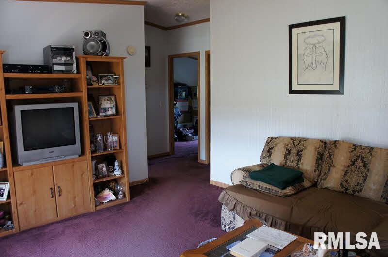 1441 Mt Sterling Road Brookport, IL 62910 - Photo 2 of 18 Gallery Image 2