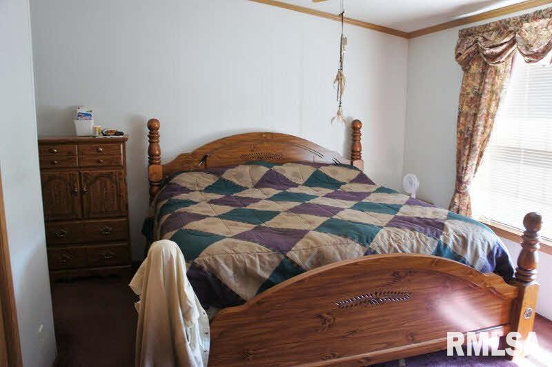 1441 Mt Sterling Road Brookport, IL 62910 - Photo 5 of 18 Gallery Image 5